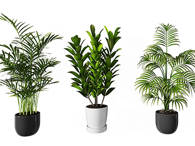 3d现代植物盆栽组合模型模型