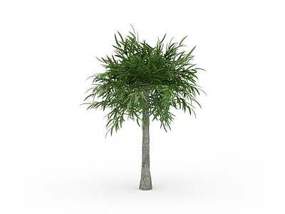 园林树木模型3d模型