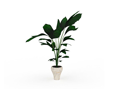3d大叶绿色植物模型