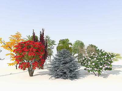3d树木鸟瞰树景观树庭院树模型