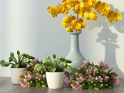现代花卉绿植室内摆件模型3d模型