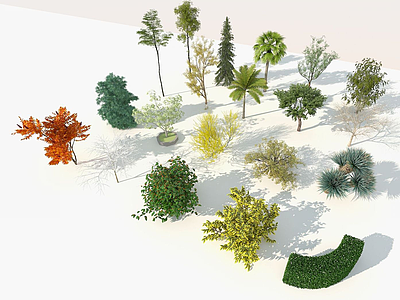 3d园林树木模型