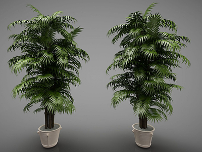 3d新中式风格的植物模型
