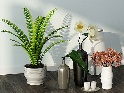 3d现代桌面摆件绿植花儿组合模型