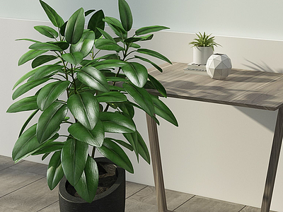3d现代植物绿植盆栽组合模型