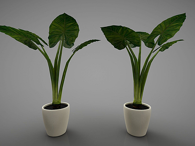3d新中式风格的植物模型