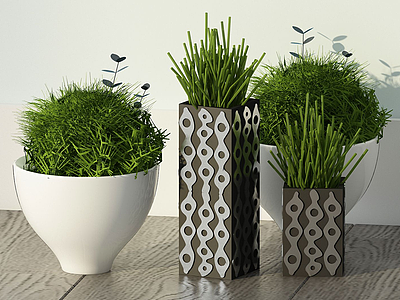 3d现代绿植盆栽草类组合模型