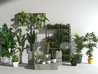 3d花草植物盆栽绿植模型