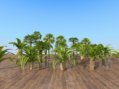 3d现代室外热带树木组合模型