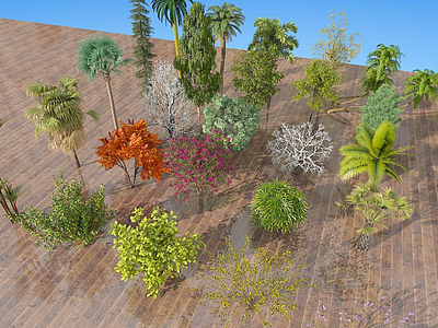 现代室外树木绿植模型3d模型