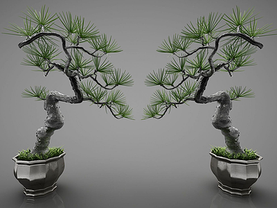 3d新中式盆栽盆景迎客松模型