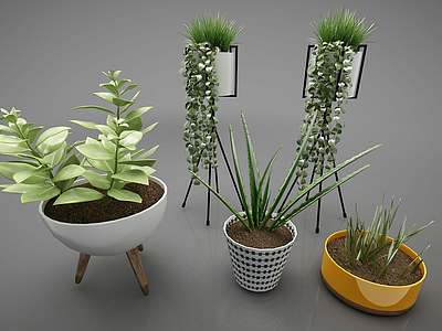 3d装饰植物模型