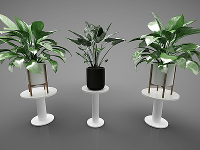 3d植物模型