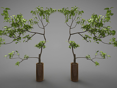 3d新中式风格盆栽模型