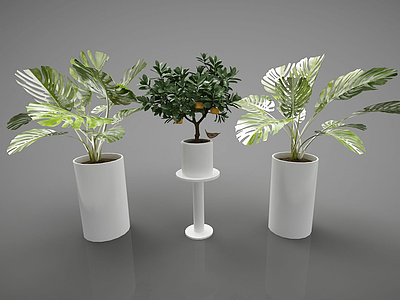 装饰植物模型