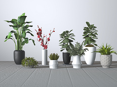 现代植物盆栽组合模型3d模型