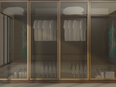 3d透明衣柜模型