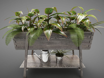 3d现代植物装饰槽模型