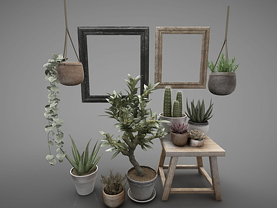 现代植物画框组合模型