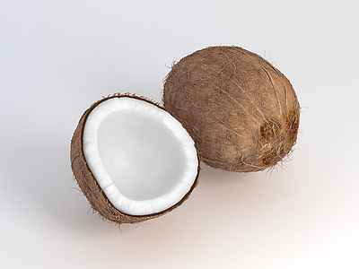 3d椰子外壳模型