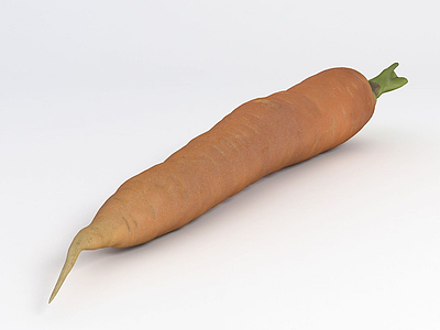 胡萝卜模型
