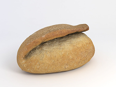 面包模型