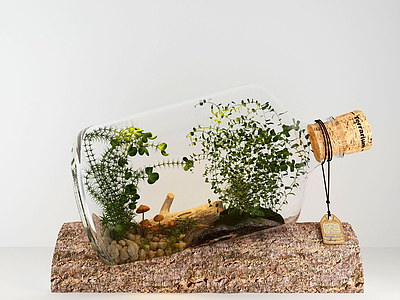 现代清新玻璃瓶植物模型3d模型