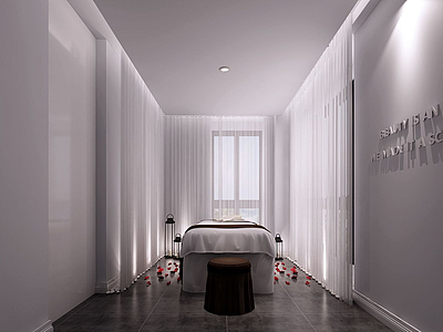 3d美容机构美容房间设置模型