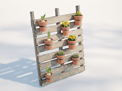 3d现代户外植物盆栽模型