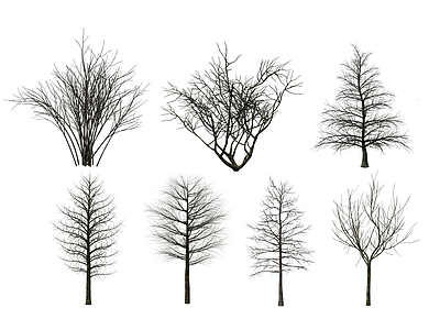 现代树木枯树模型3d模型
