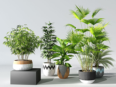 植物模型3d模型