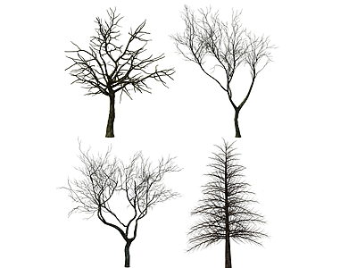 3d现代树木枯树模型