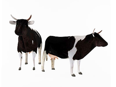 现代奶牛3d模型