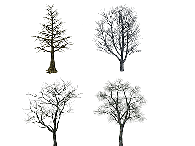 现代枯树模型3d模型