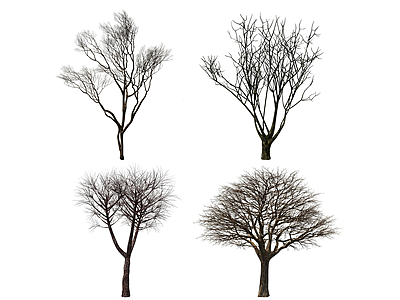 3d现代景观枯树模型