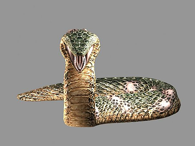 3d蟒蛇模型