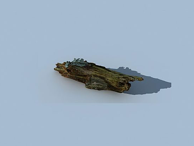 3d树木模型