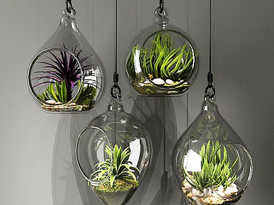 3d玻璃吊瓶植物模型