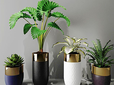 室内绿植装饰模型3d模型