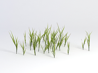 3d绿植草丛模型