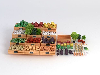 各种蔬菜模型