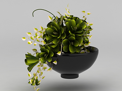 3d装饰盆栽花卉免费模型