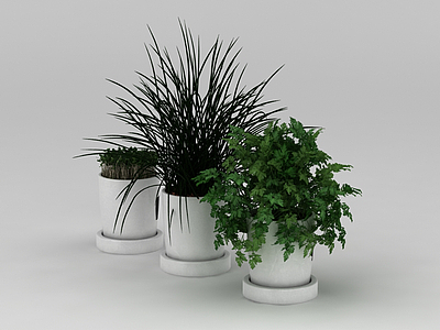3d室内绿植免费模型