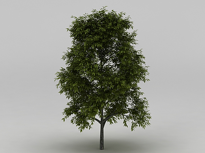 树模型3d模型