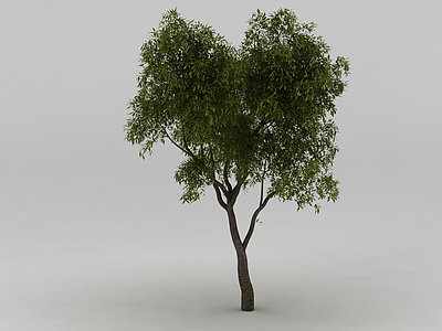 3d绿树模型