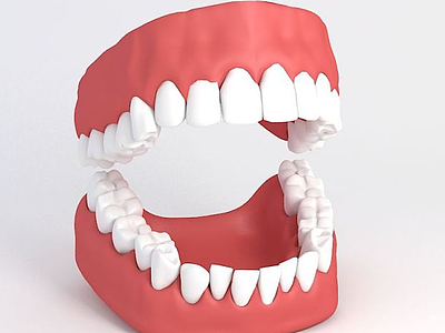 3d牙齿模型