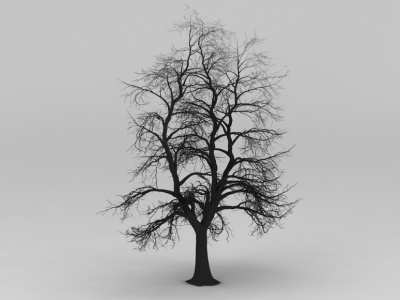 3d冬天的树模型