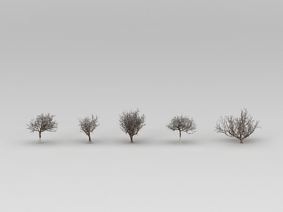 3d树木免费模型