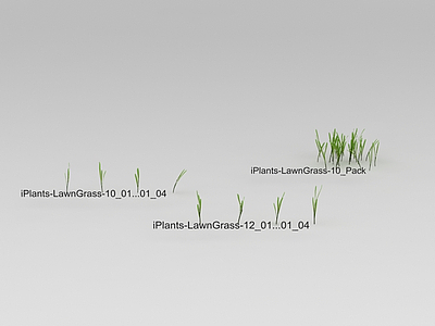 绿草模型3d模型