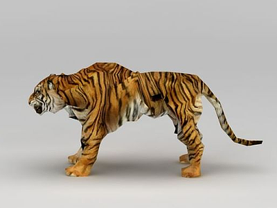 动物园老虎模型